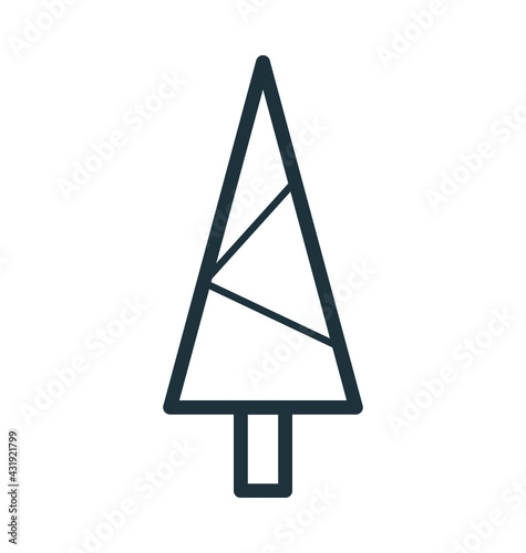 Cypress Tree