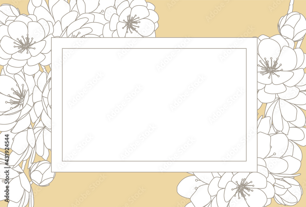  Flowers, florals, frames, simple, invitations..