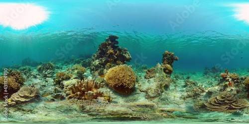 Colorful tropical coral reef. Hard and soft corals, underwater landscape. Travel vacation concept. Philippines. 360 panorama VR © Alex Traveler