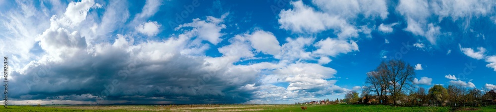 panorama with horses in the field, herd of horses grazing in the meadow in summer and spring, animal husbandry concept, with place for text panorama with horses in the field, herd of horses grazing in the meadow in summer and spring, animal husbandry concept, with place for text