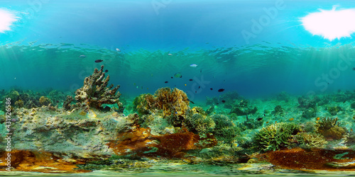 Tropical coral reef seascape with fishes, hard and soft corals. Philippines. 360 panorama VR