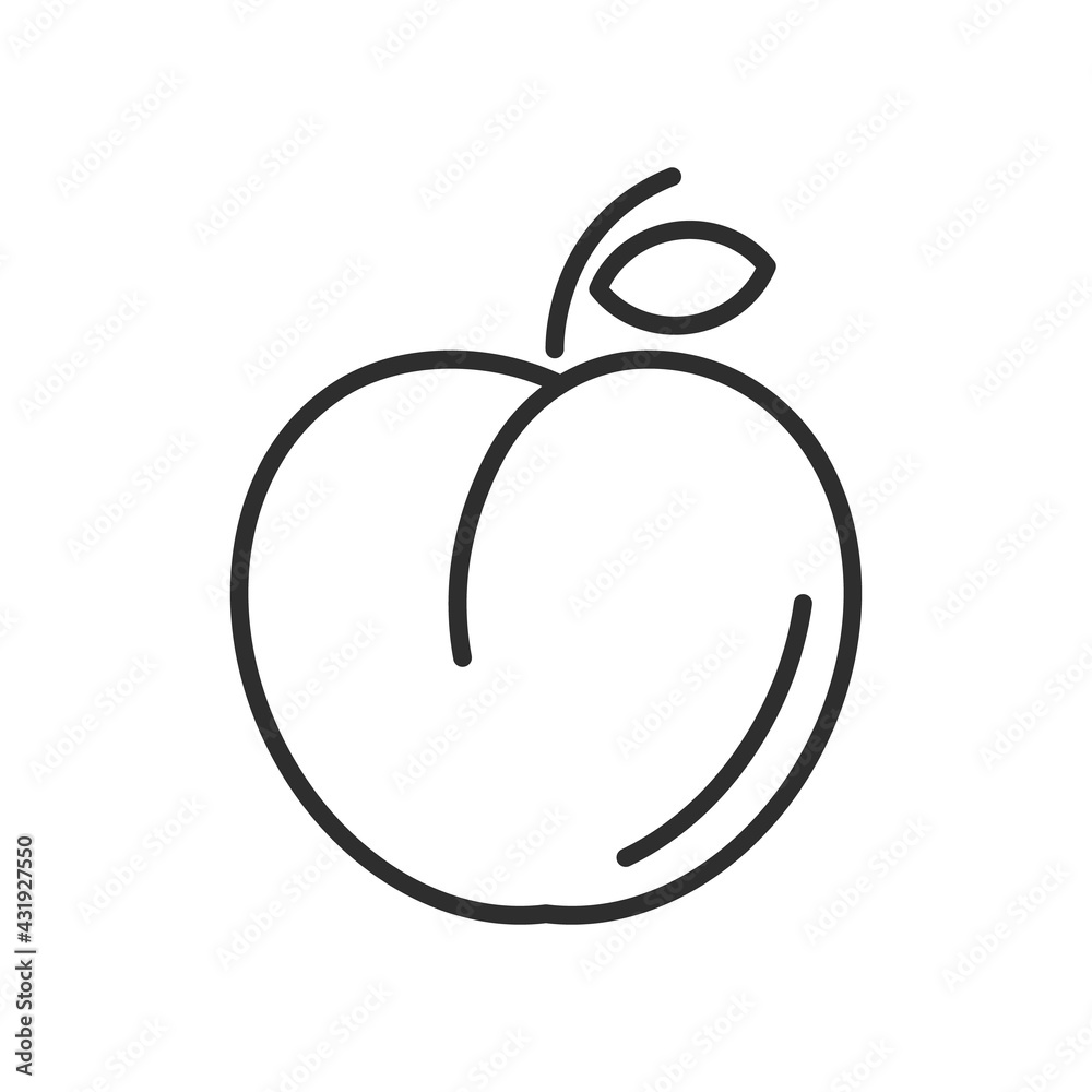 Peach line icon. Outline sign. Linear pictogram isolated on white Peach line icon. Outline sign. Linear pictogram isolated on white