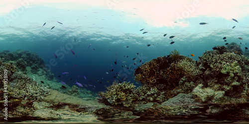 Fototapeta Naklejka Na Ścianę i Meble -  Tropical Fishes on Coral Reef, underwater scene. Colourful tropical coral reef. Scene reef. Philippines. 360VR Video.