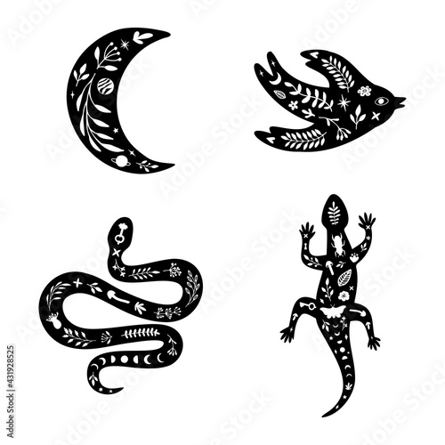 Set of black silhouettes with white floral elements. Moon  lizard  bird  snake.