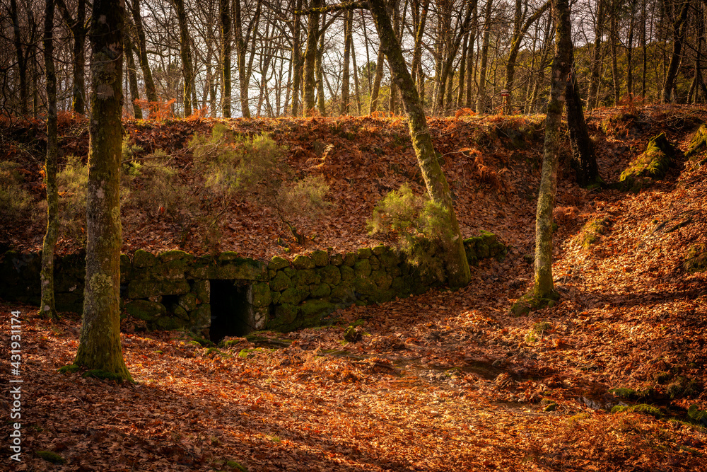 Fototapeta premium Antique stone hidden refuge on a fall landscape in Mondim de Basto, Portugal