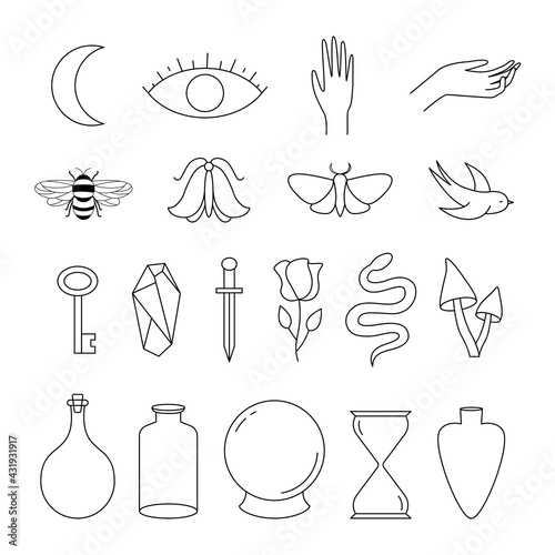 Set of moon, eye, hands, crystal, snake, rose,  leaf, bee, key, magic ball, mushrooms, rose, bird, moth, dagger, sandglass.