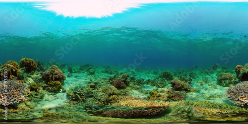 Beautiful underwater world with coral reef and tropical fishes. Colourful tropical coral reef. Philippines. Travel vacation concept 360 panorama VR