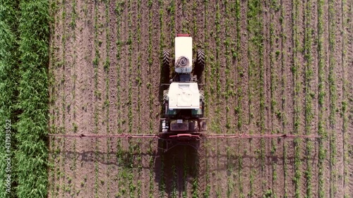 Aerial top down footage flying above tractor spraying chemicals over young corn field mostly glyphosate is used as pre-harvest herbicide and harvest aid on crops and is used to kill weeds 4k quality photo