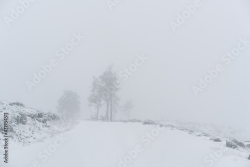 Road covered with snow on a remote village in the North of Portugal, Vila Real © Luis