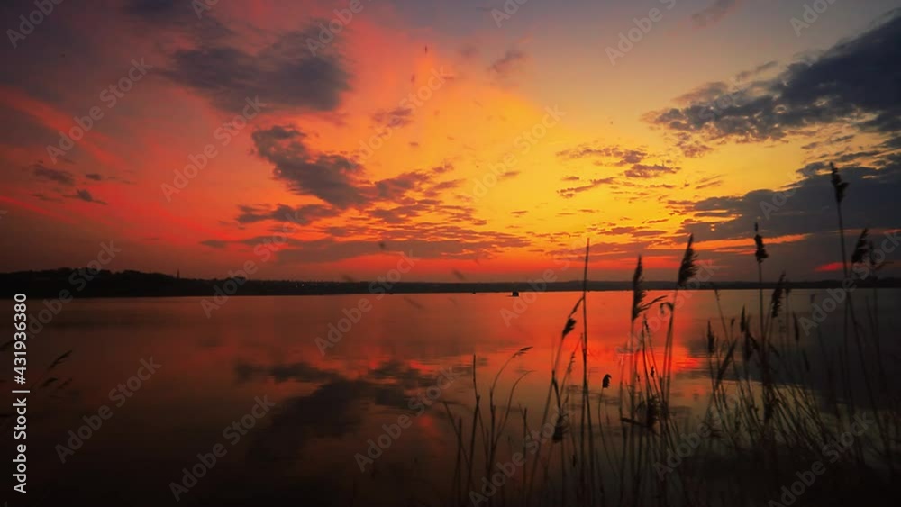 Colorful bright sunset by the lake with reeds Colorful bright sunset by the lake with reeds