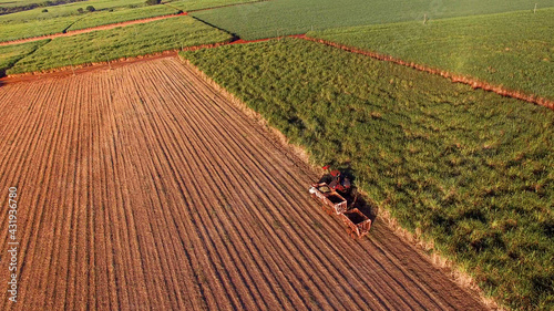 Sugar cane hasvest plantation aerial photo