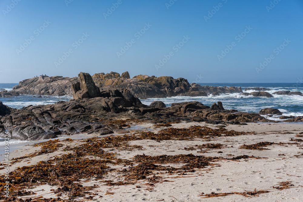 Seagulls on top of rocks on a wild beach in Caldebarcos on the north of Spain in Galicia, Spain