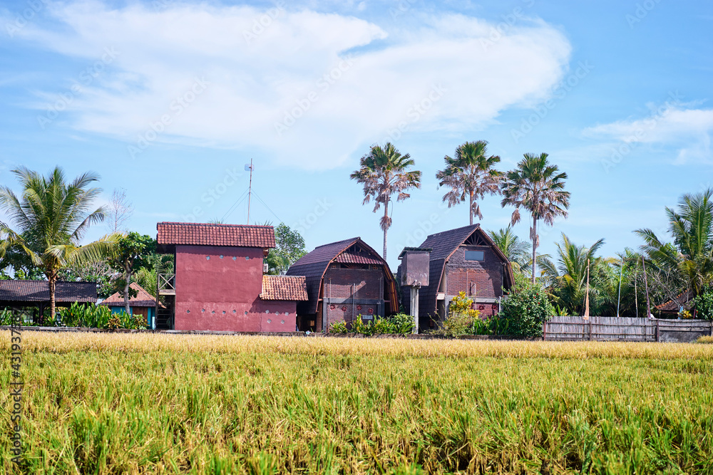 Obraz premium Balinesse landscape with traditional houses and rise field.