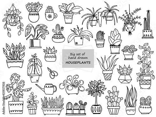 Big set of hand drawn houseplants. Set of doodle images of plants for home. Vector images for the decoration of various goods, textiles, postcards, notebooks, notebooks. Cacti, monsters, succulents 