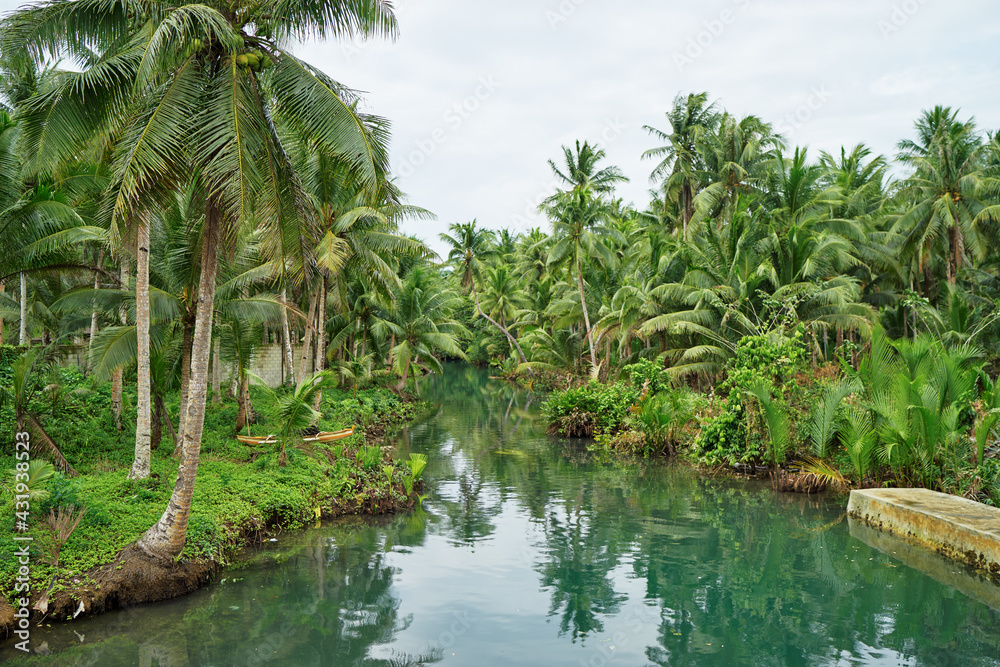 Coconut palms jungle on the river bank. Coconut palms jungle on the river bank.