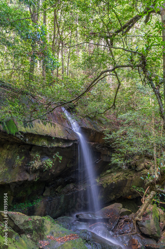 Small waterfall in green forest. nature green trees in forest background