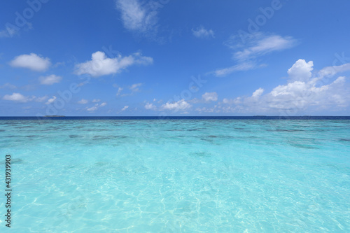 Fototapeta Naklejka Na Ścianę i Meble -  paradise idyllic seascape in the Indian Ocean, turquoise water and blue sky
