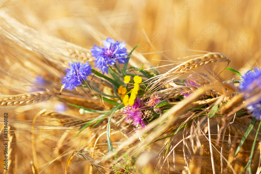 Wildflowers-blue cornflowers, yellow and purple are woven into a wreath of rye ears