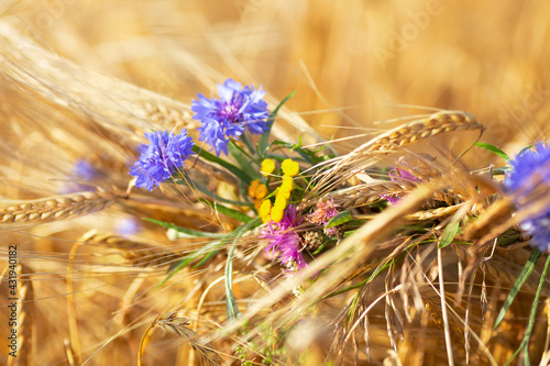 Obraz na płótnie Wildflowers-blue cornflowers, yellow and purple are woven into a wreath of rye ears w salonie