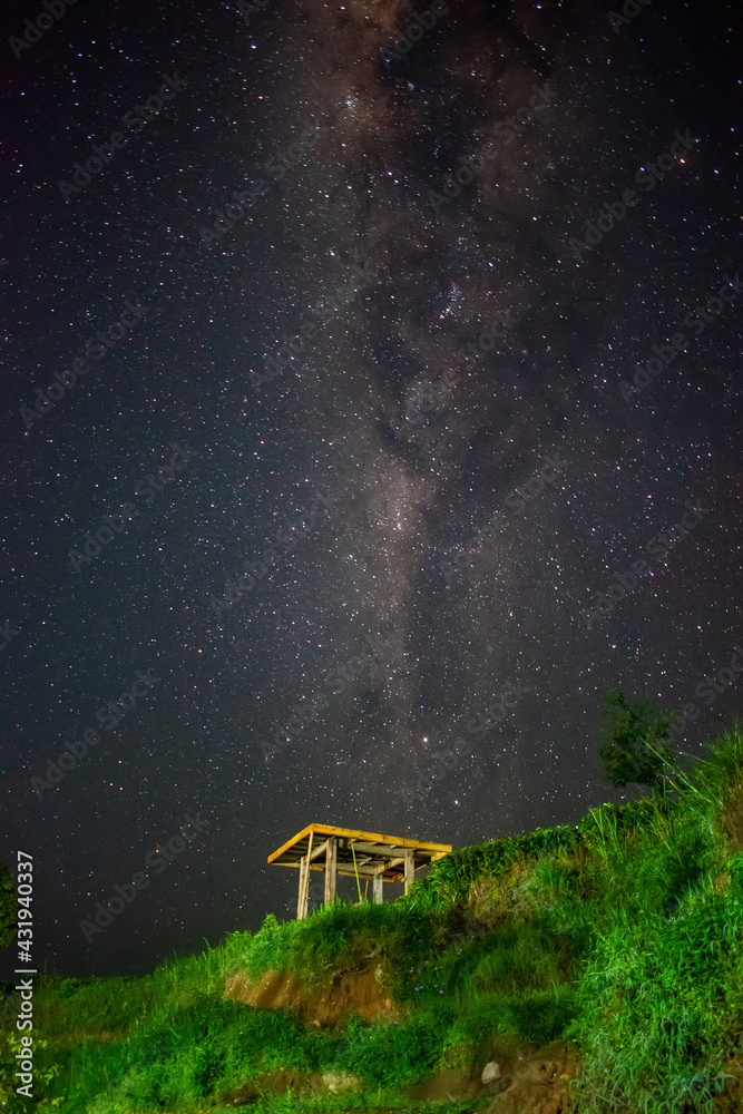 bench in the night