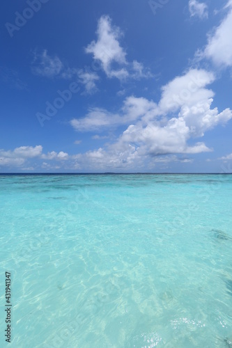 Fototapeta Naklejka Na Ścianę i Meble -  paradise idyllic seascape in the Indian Ocean, turquoise water and blue sky