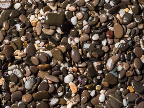 Multi-colored wet pebbles on the shore. Pebble background. Shore. Beach. Pebble texture photo