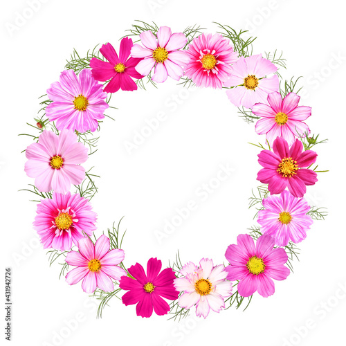 Floral wreath with different cosmos flowers