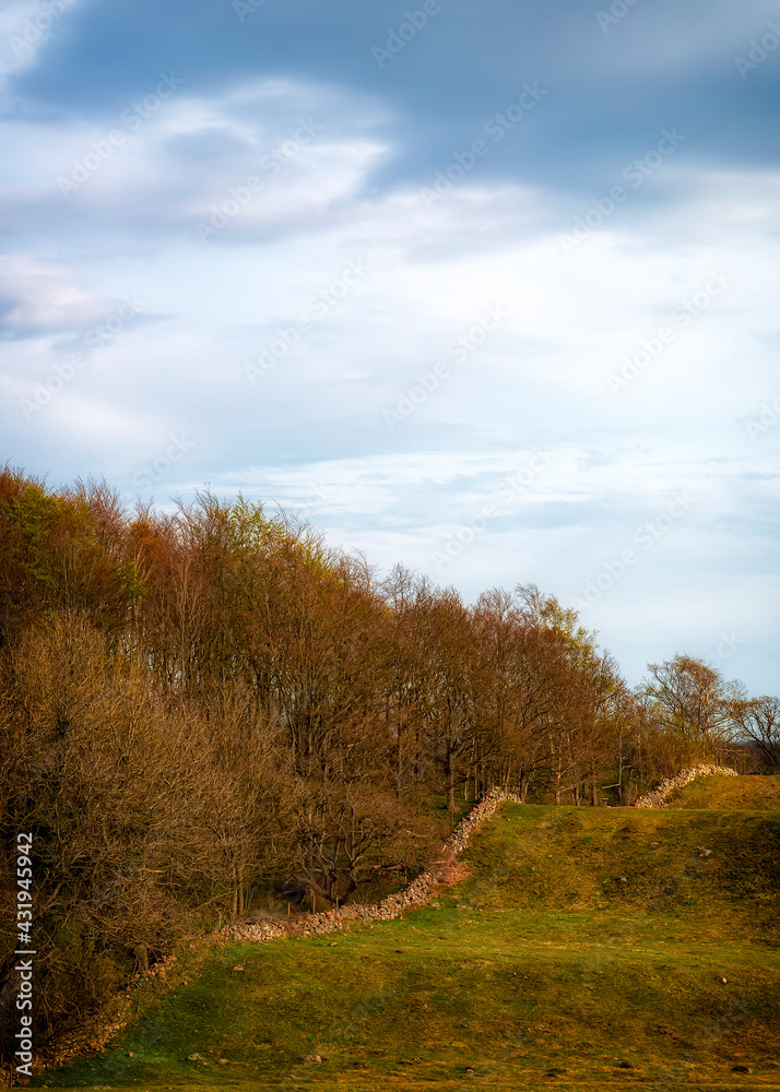 Grevie Backar Sunlit Hills