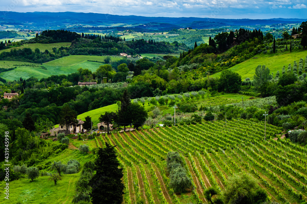 Beautiful general view of a valley in Italian Tuscany. Land for cultivation of vineyards.