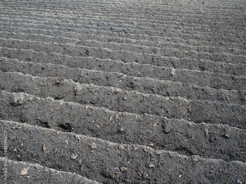 Straight rows of black soil, ready to plant, selective focus. Land prepared for agriculture.