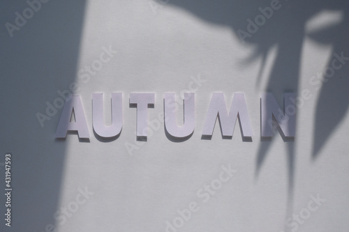 letter autumn cut from paper. Monochromatic concept photo