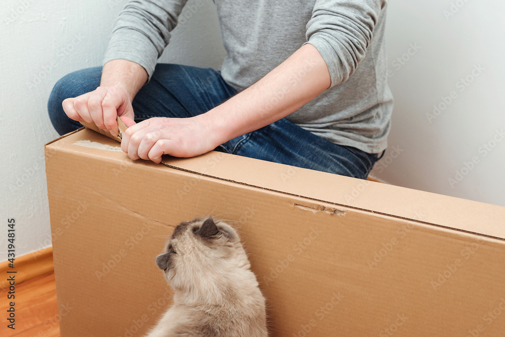 Fototapeta premium Man unpacking box with new furniture at home. Moving house day and real estate concept. Funny cat at home.