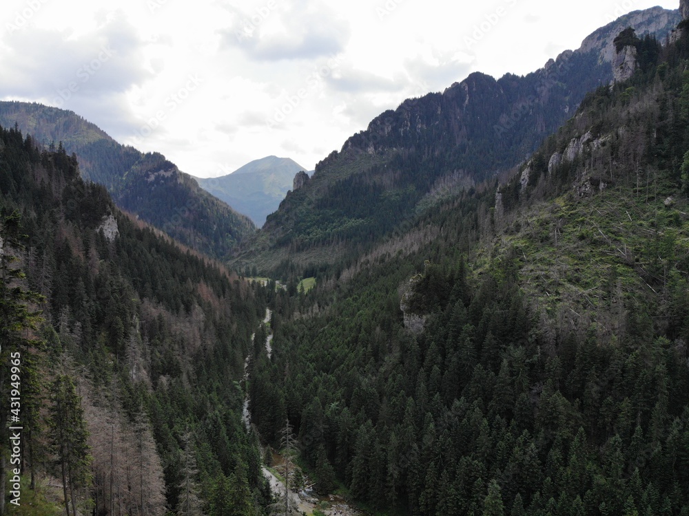 Tatra Mountain Valley