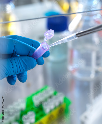 Scientist pipetting chemical formula into vial in laboratory