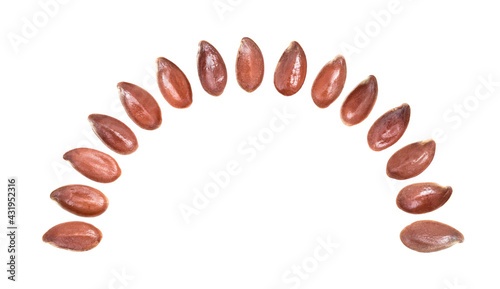 Close up of linseed or flax seed arranged in a half circle pointing up and isolated on white background