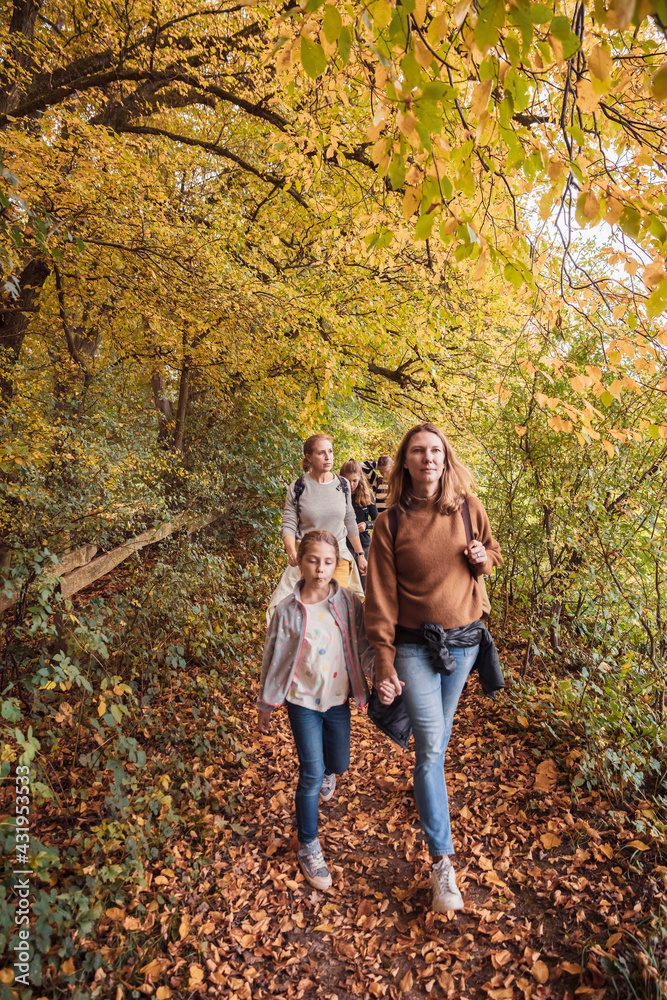 Explorer walking while exploring forest during autumn