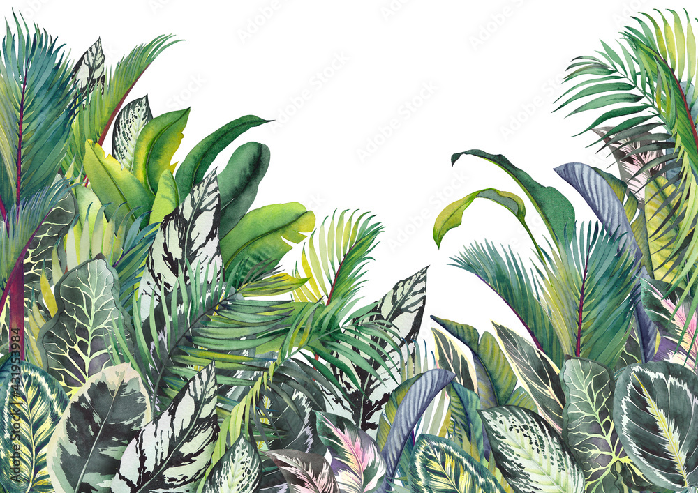 Tropical Leaves Jungle Wall Art Watercolor Illustration Stock イラスト Adobe Stock