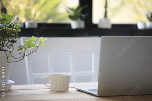 White coffee cup and laptop on table and plant pot in front of window