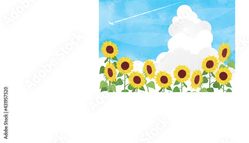 ひまわりのイラストの夏イメージの背景素材