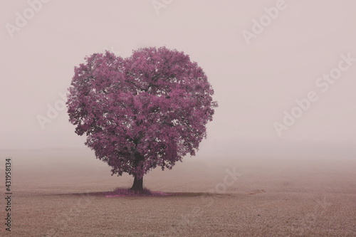 Abstract tree with heart outlines on foggy background © yarbeer