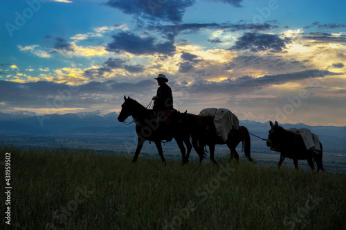 Cowboy silhouette at dawn © outdoorsman
