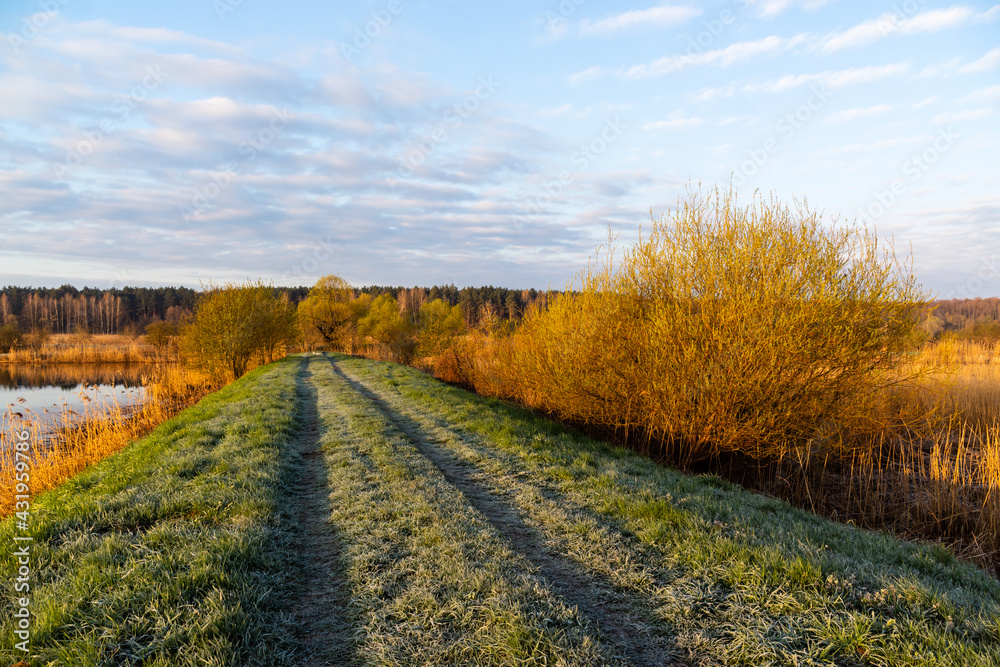 Naklejka premium Stawy Dojlidzkie o poranku, Podlasie, Polska