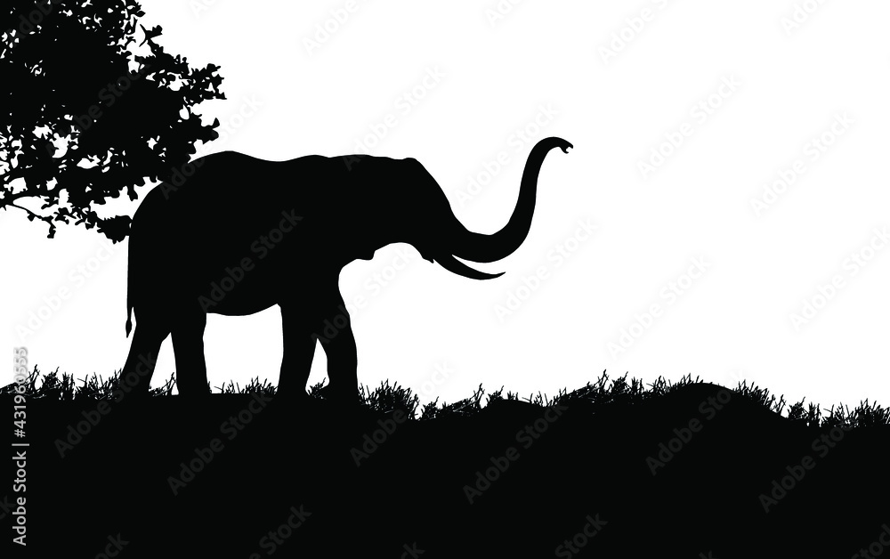 Naklejka premium elephant standing Vector illustration, African nature with a wild elephant. Black silhouette of an elephant.