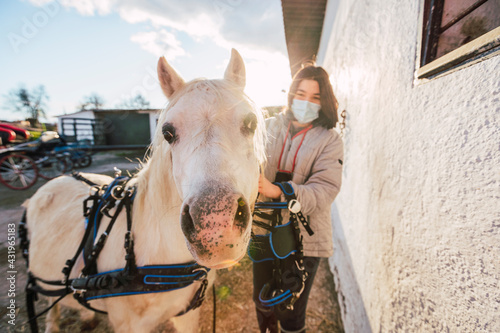 Girl putting harness on horse while standing at stable