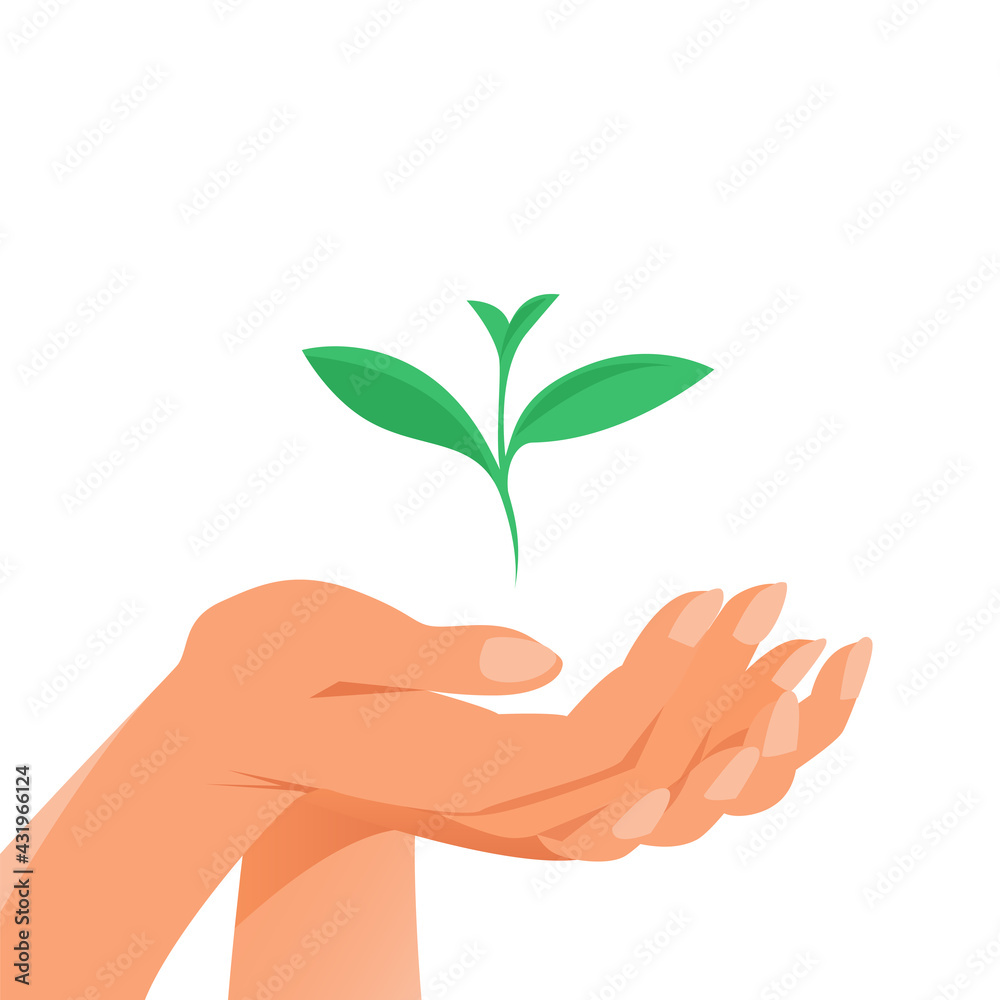 The female hand carefully holds the green sprout of the plant. Illustration on white background The female hand carefully holds the green sprout of the plant. Illustration on white background