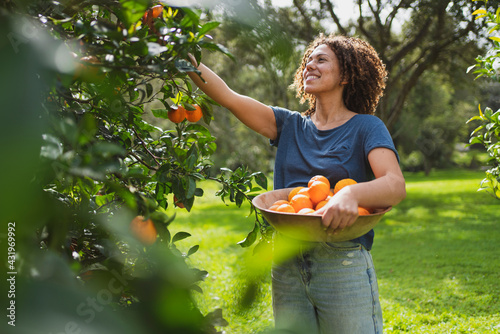 Smiling woman picking oranges from tree in garden photo