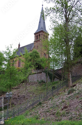 castle in the forest