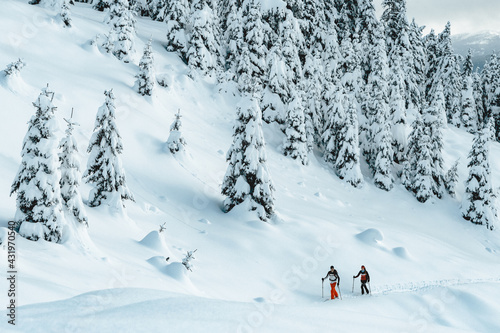 Ski touring in the Alps