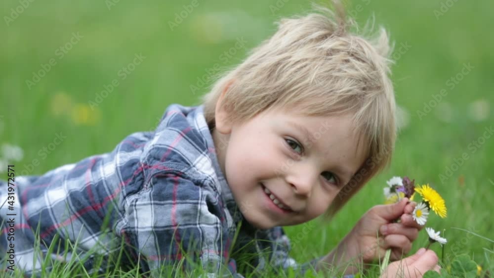 Beatiful toddler blond child, cute boy, lying in the grass in daisy and dandelions flower filed Beatiful toddler blond child, cute boy, lying in the grass in daisy and dandelions flower filed