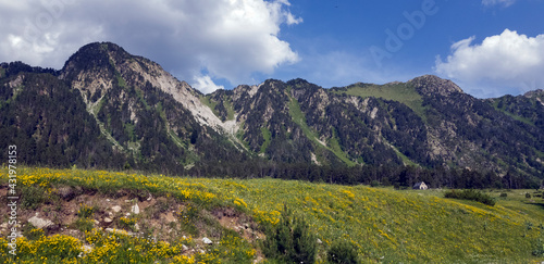 Precioso valle repleto de flores a la falda de altas montañas en el Valle de Arán.